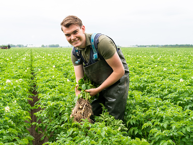 Student Aeres MBO Emmeloord inspecteert gewas op akker
