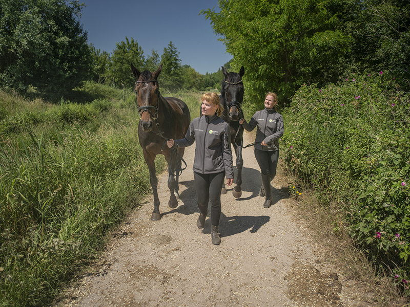 Studenten Aeres MBO Emmeloord lopen met paard aan de teugel op pad