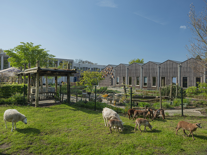 Locatie Aeres MBO Velp dieren in kinderboerderij